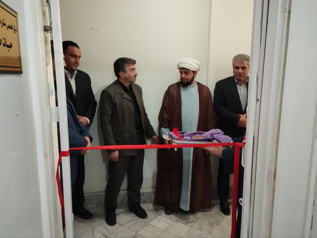 Personal Portfolio Images