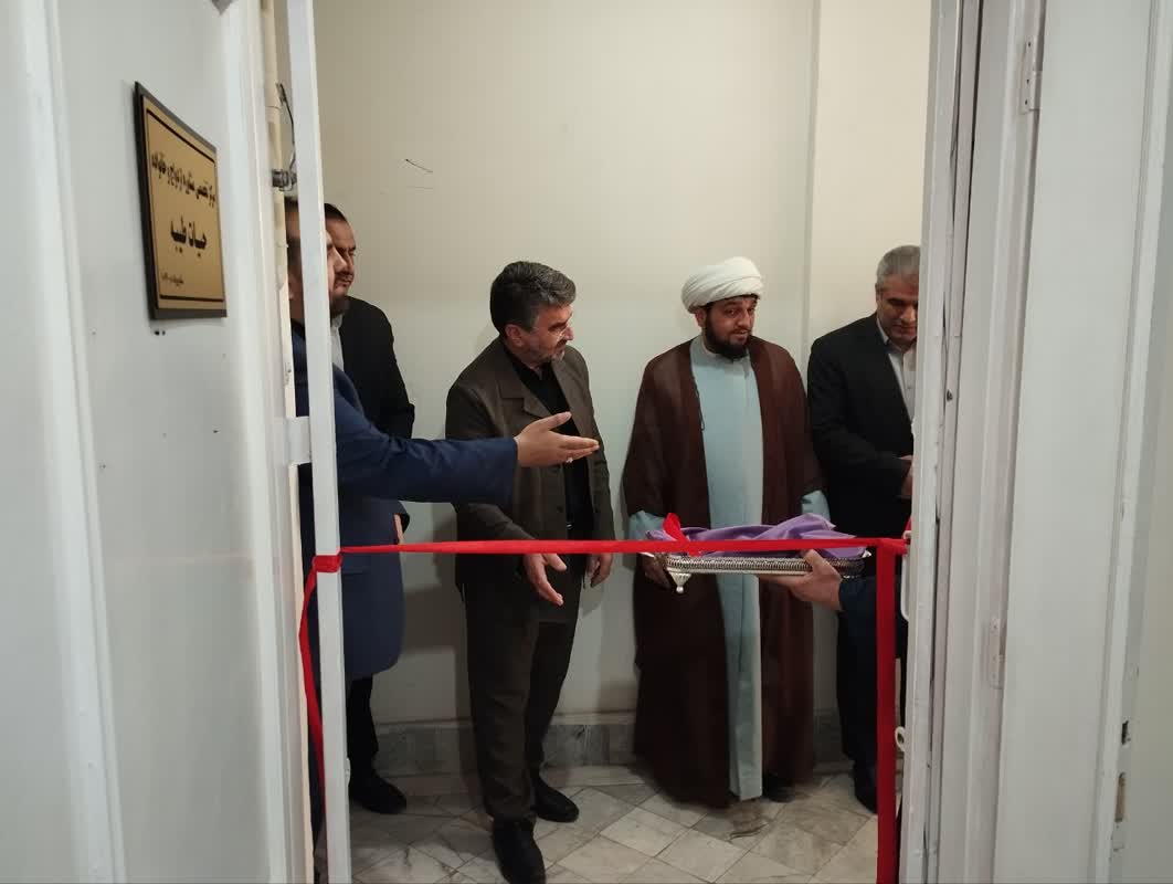 Personal Portfolio Images